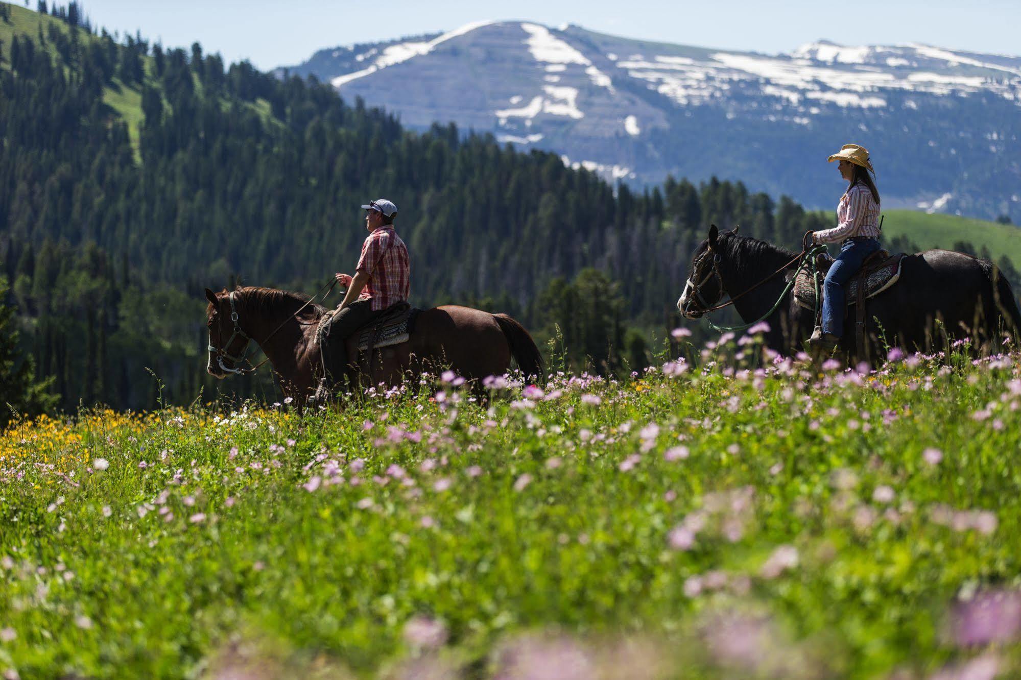 Sioux Lodge By Grand Targhee Resort 알타 외부 사진