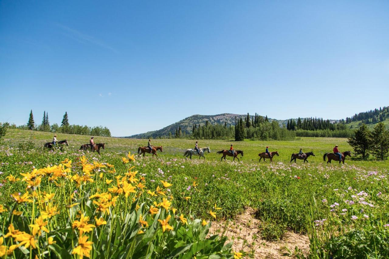 Sioux Lodge By Grand Targhee Resort 알타 외부 사진